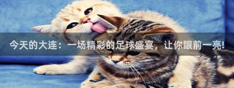 今天的大连：一场精彩的足球盛宴，让你眼前一亮!