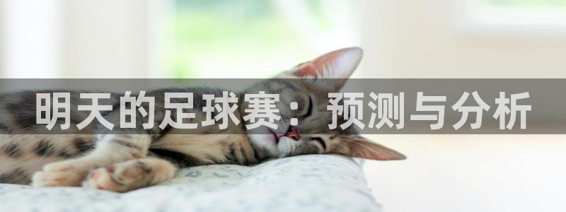明天的足球赛：预测与分析