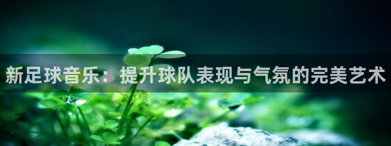  新足球音乐：提升球队表现与气氛的完美艺术