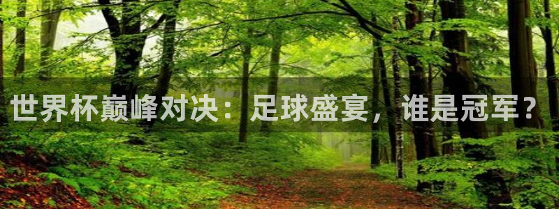  世界杯巅峰对决：足球盛宴，谁是冠军？