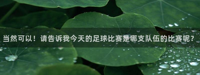 当然可以！请告诉我今天的足球比赛是哪支队伍的比赛呢？