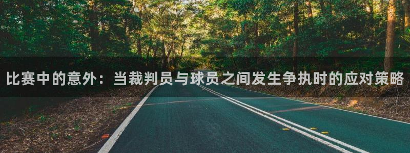  比赛中的意外：当裁判员与球员之间发生争执时的应对策略
