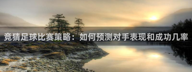 竞猜足球比赛策略：如何预测对手表现和成功几率
