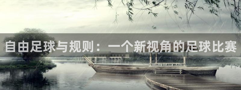 自由足球与规则：一个新视角的足球比赛
