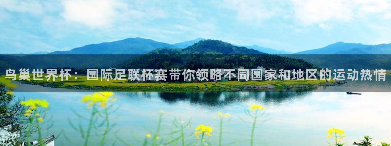 鸟巢世界杯：国际足联杯赛带你领略不同国家和地区的运动热情