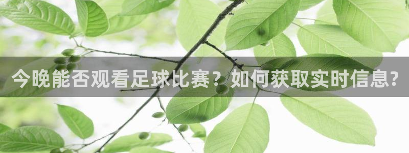  今晚能否观看足球比赛？如何获取实时信息?