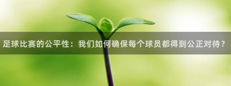  足球比赛的公平性：我们如何确保每个球员都得到公正对待？