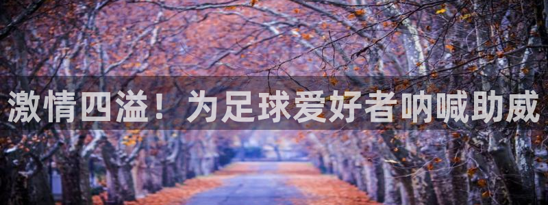  激情四溢！为足球爱好者呐喊助威