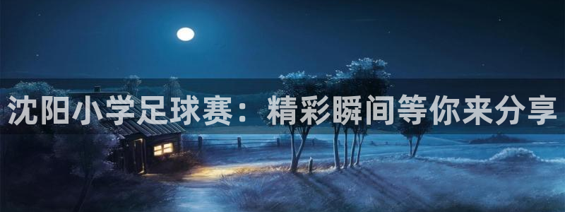 沈阳小学足球赛：精彩瞬间等你来分享
