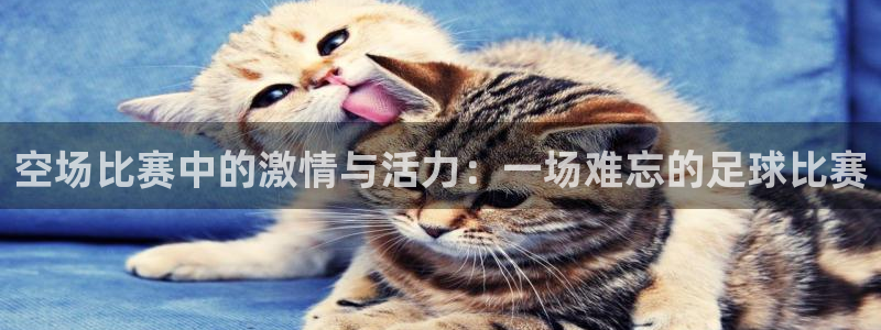  空场比赛中的激情与活力：一场难忘的足球比赛