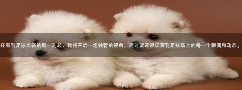 在看到足球比赛的那一刻起，我将开启一场独特的视角，通过望远镜