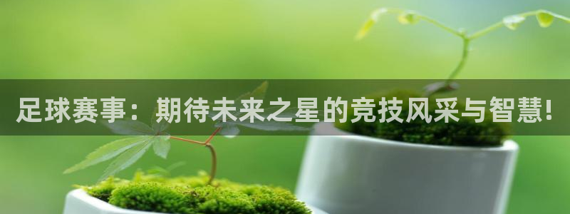  足球赛事：期待未来之星的竞技风采与智慧!