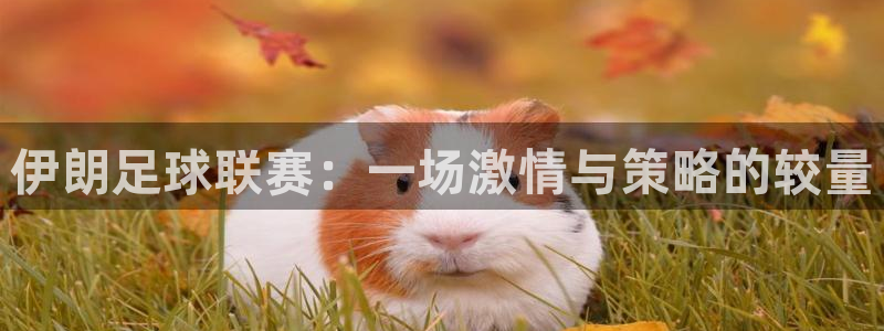  伊朗足球联赛：一场激情与策略的较量