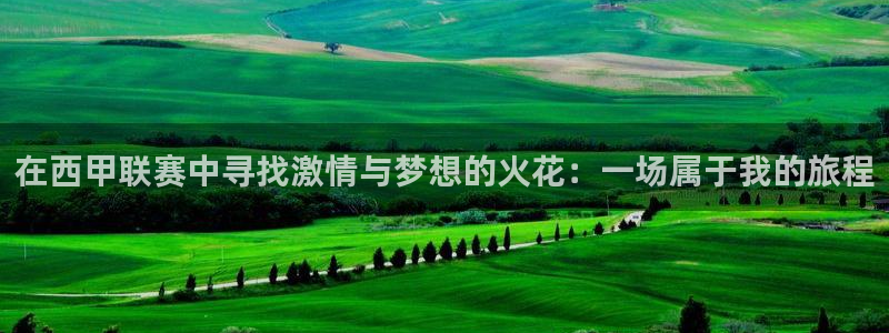  在西甲联赛中寻找激情与梦想的火花：一场属于我的旅程