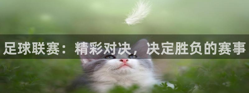  足球联赛：精彩对决，决定胜负的赛事