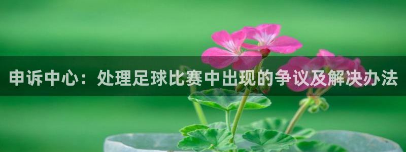  申诉中心：处理足球比赛中出现的争议及解决办法