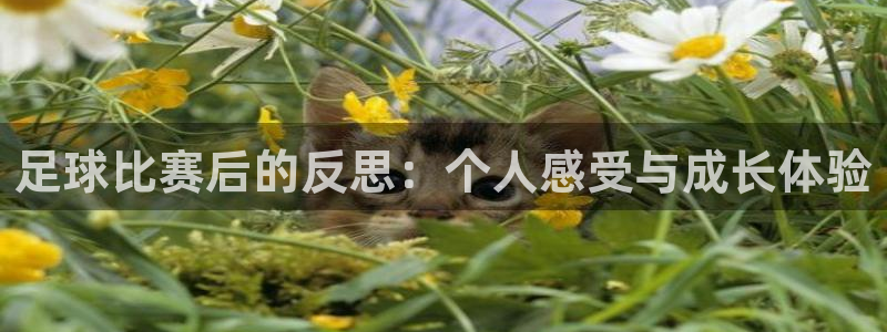  足球比赛后的反思：个人感受与成长体验