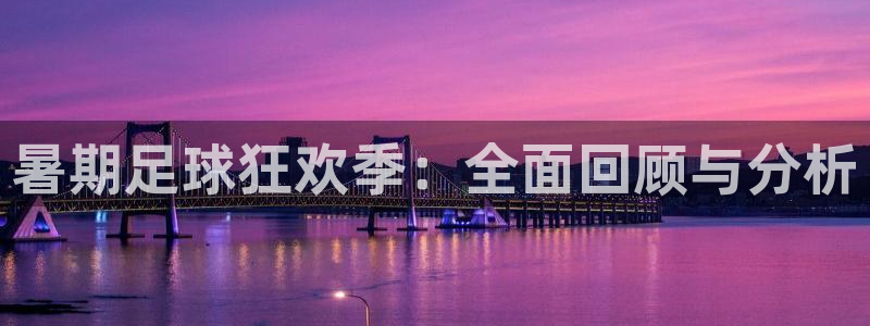  暑期足球狂欢季：全面回顾与分析