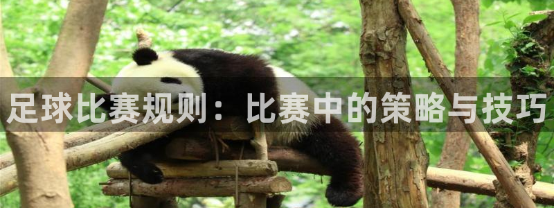 足球比赛规则：比赛中的策略与技巧