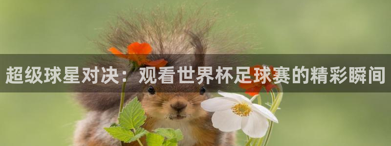 超级球星对决：观看世界杯足球赛的精彩瞬间
