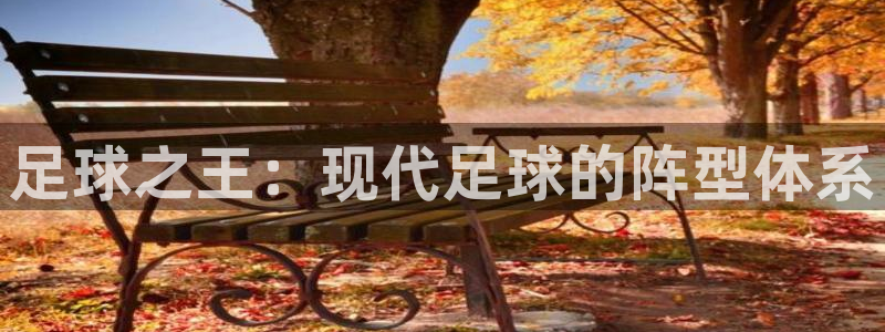 足球之王：现代足球的阵型体系