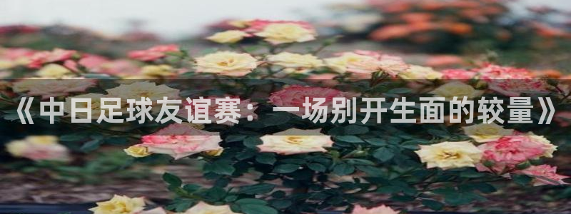  《中日足球友谊赛：一场别开生面的较量》