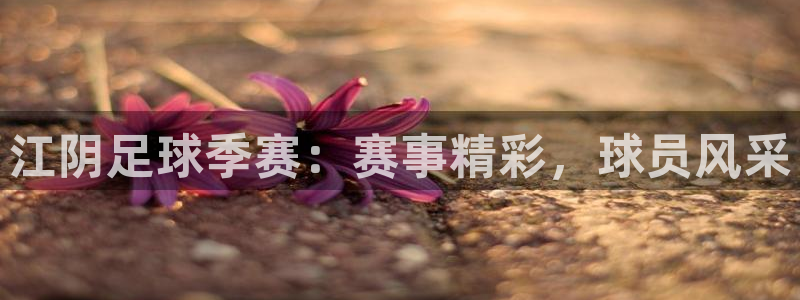  江阴足球季赛：赛事精彩，球员风采