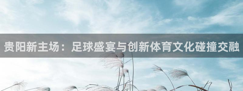  贵阳新主场：足球盛宴与创新体育文化碰撞交融