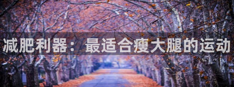 77体育官网：减肥利器：最适合瘦大腿的运动