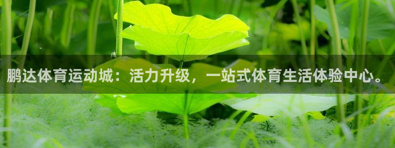 77体育：鹏达体育运动城：活力升级，一站式体育生活体验中心。