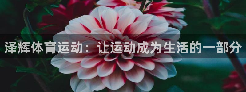 77体育app下载官网