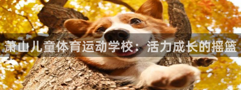 77体育：萧山儿童体育运动学校：活力成长的摇篮