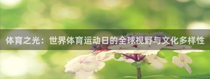 77体育官网：体育之光：世界体育运动日的全球视野与文化多样性