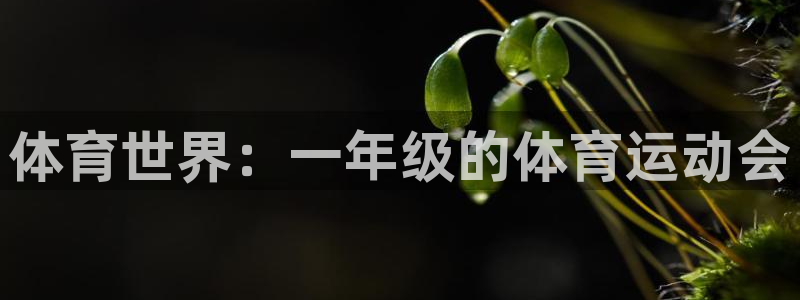 皇冠277体育