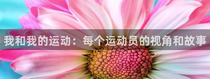 77体育