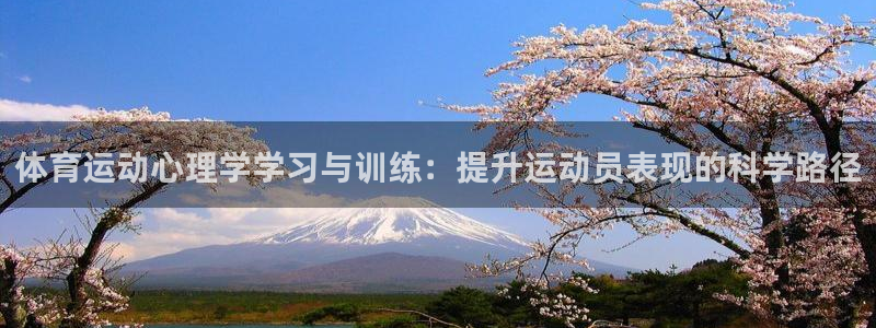 77体育