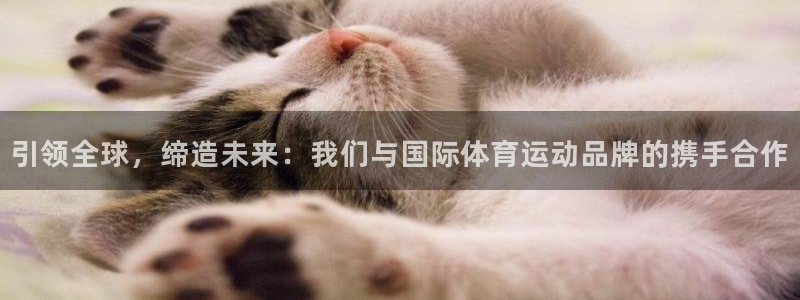 77体育app下载官网