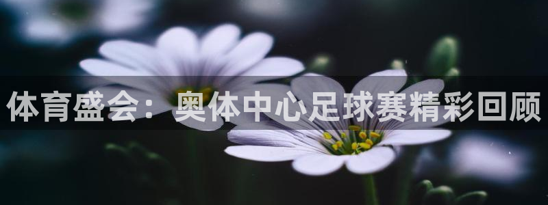 体育盛会：奥体中心足球赛精彩回顾