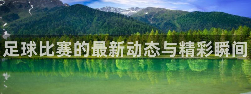 足球比赛的最新动态与精彩瞬间