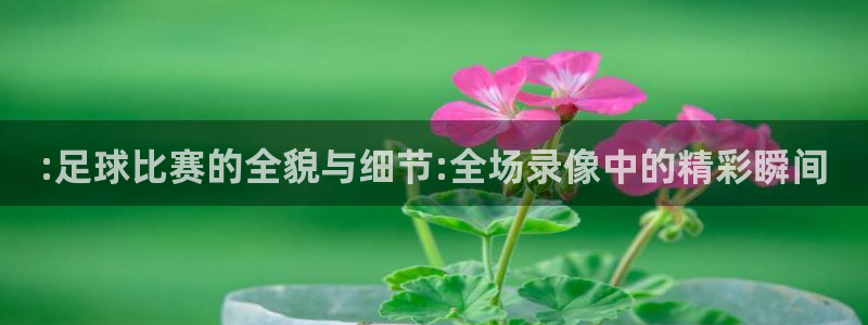:足球比赛的全貌与细节:全场录像中的
