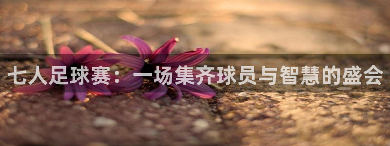 七人足球赛：一场集齐球员与智慧的盛会