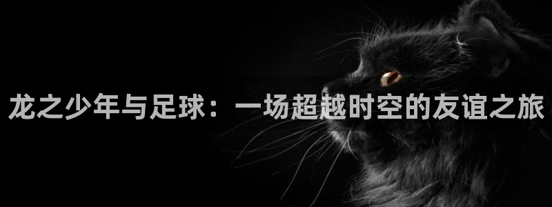 龙之少年与足球：一场超越时空的友谊之
