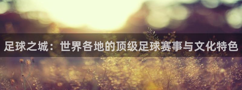 足球之城：世界各地的顶级足球赛事与文